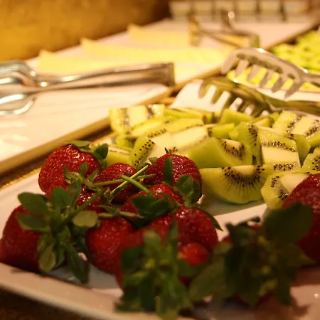 酒店 里约酒店 2*